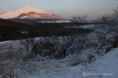 雪道には慣れているので、慎重に運転をしていくと、無事三国峠を越えて山梨県に入る。
道路脇の積雪は30cm以上もあり、4月に入ってこれだけ雪が降るのは滅多にお目にかかれない。