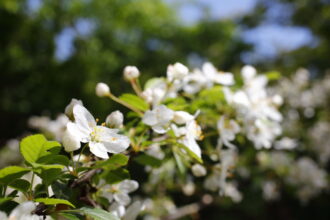 EOS5DsR+MACRO50mmF2.8 EX DG f8 1/100sec ISO100 PLフィルター