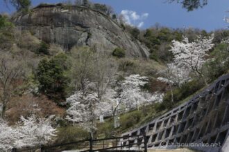 EOS5DsR+EF24-70mmF2.8LⅡUSM 42mm f11 1/50sec ISO100 PLフィルター