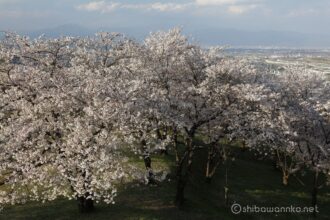 EOS5DsR+EF24-70mmF2.8LⅡUSM 44mm f16 1/25sec ISO100 PLフィルター