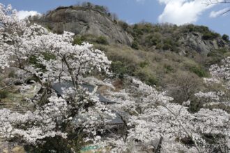 EOS5DsR+EF16-35mmF4L IS USM 24mm f11 1/50sec ISO100 PLフィルター