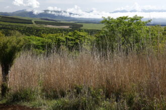 EOS5DsR+EF24-70mmF2.8LⅡUSM 55mm f16 1/25sec ISO100 PLフィルター