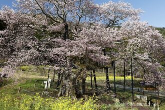 EOS5DsR+EF24-70mmF2.8LⅡUSM 35mm f16 1/15sec ISO100 PLフィルター