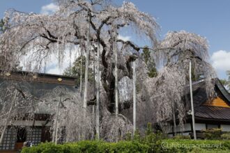 EOS5DsR+EF16-35mmF4L IS USM 35mm f11 1/50sec ISO100 PLフィルター