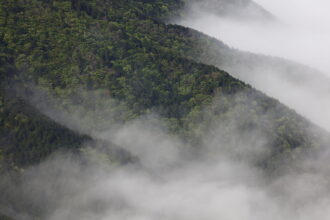 EOS5DsR+EF100-400mmF4.5-5.6L ISⅡUSM 400mm f8 1/60sec ISO100 PLフィルター