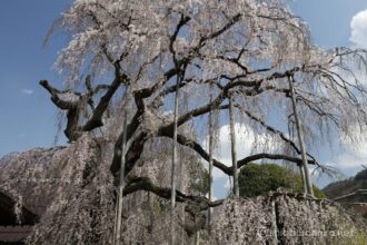 EOS5DsR+EF16-35mmF4L IS USM 35mm f11 1/60sec ISO100 PLフィルター