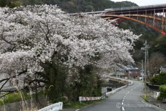 EOS5DsR+EF24-70mmF2.8LⅡUSM 65mm f16 1/13sec ISO100 PLフィルター