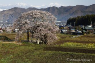 EOS5DsR+EF24-70mmF2.8LⅡUSM 70mm f16 1/30sec ISO100 PLフィルター