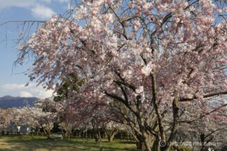 EOS5DsR+EF24-70mmF2.8LⅡUSM 35mm f16 1/30sec ISO100 PLフィルター