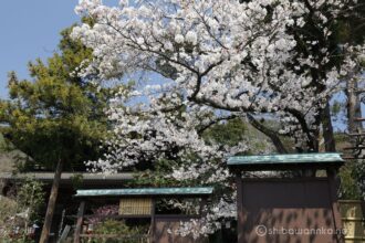 EOS5DsR+EF16-35mmF4L IS USM 28mm f11 1/50sec ISO100 PLフィルター