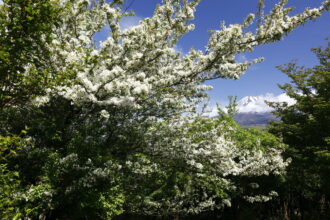 EOS5DsR+EF24-70mmF2.8LⅡUSM 30mm f16 1/25sec ISO100 PLフィルター