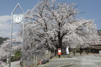 EOS5DsR+EF24-70mmF2.8LⅡUSM 50mm f16 1/50sec ISO100 PLフィルター