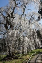 EOS5DsR+EF24-70mmF2.8LⅡUSM 35mm f16 1/15sec ISO100 PLフィルター