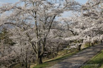 EOS5DsR+EF24-70mmF2.8LⅡUSM 45mm f11 1/40sec ISO100 PLフィルター