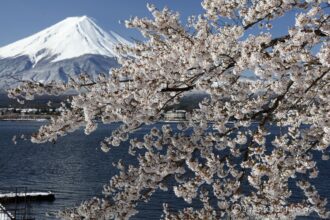 EOS5DsR+EF24-70mmF2.8LⅡUSM 70mm f16 1/50sec ISO100 PLフィルター