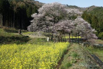 EOS5DsR+EF24-70mmF2.8LⅡUSM 35mm f16 1/30sec ISO100 PLフィルター