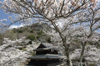 EOS5DsR+EF16-35mmF4L IS USM 16mm f16 1/25sec ISO100 PLフィルター