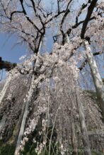 EOS5DsR+EF16-35mmF4L IS USM 16mm f16 1/25sec ISO100 PLフィルター