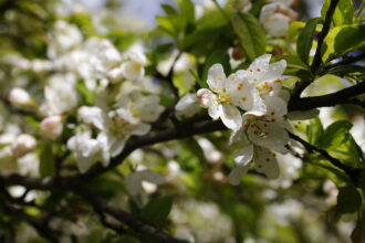 EOS5DsR+MACRO50mmF2.8 EX DG f8 1/125sec ISO100 PLフィルター