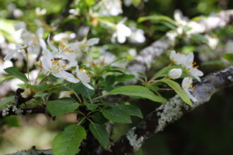 EOS5DsR+MACRO50mmF2.8 EX DG f8 1/30sec ISO100 PLフィルター