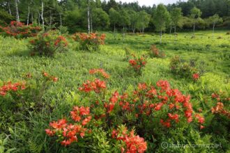 EOS5DsR+EF24-70mmF2.8LⅡUSM 24mm f16 1/13sec ISO100 PLフィルター