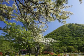 EOS5DsR+EF16-35mmF4L IS USM 27mm f16 1/25sec ISO100 PLフィルター