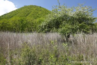 EOS5DsR+EF16-35mmF4L IS USM 26mm f16 1/20sec ISO100 PLフィルター
