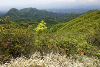 EOS5DsR+EF16-35mmF4L IS USM 21mm f16 1/20sec ISO100 PLフィルター