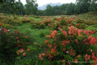 EOS5DsR+EF24-70mmF2.8LⅡUSM 24mm f16 8sec ISO100 PLフィルター