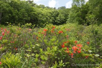 EOS5DsR+EF24-70mmF2.8LⅡUSM 33mm f16 1/15sec ISO100 PLフィルター