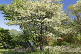 EOS5DsR+EF16-35mmF4L IS USM 30mm f16 1/15sec ISO100 PLフィルター