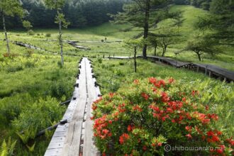 EOS5DsR+EF24-70mmF2.8LⅡUSM 24mm f16 1/15sec ISO100 PLフィルター