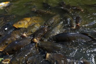 EOS5DsR+EF24-70mmF2.8LⅡUSM 24mm f8 1/125sec ISO100 PLフィルター
