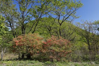 EOS5DsR+EF16-35mmF4L IS USM 30mm f16 1/20sec ISO100 PLフィルター