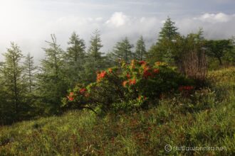EOS5DsR+EF24-70mmF2.8LⅡUSM 47mm f16 1/20sec ISO100 PLフィルター