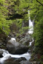 EOS5DsR+EF24-70mmF2.8LⅡUSM 50mm f11 2.5sec ISO100 PLフィルター