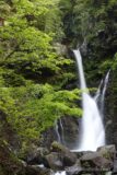 新緑の向こうの白糸の滝は、穿たれた岩盤から水を落とす。U字に削られた岩盤が年月を感じさせてくれます。