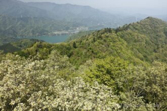 EOS5DsR+EF24-70mmF2.8LⅡUSM 24mm f16 1/30sec ISO100 PLフィルター