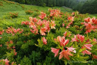 EOS5DsR+EF16-35mmF4L IS USM 16mm f16 1/5sec ISO100 PLフィルター