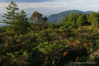 EOS5DsR+EF24-70mmF2.8LⅡUSM 35mm f16 1/13sec ISO100 PLフィルター