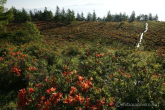 EOS5DsR+EF24-70mmF2.8LⅡUSM 24mm f16 1/30sec ISO100 PLフィルター