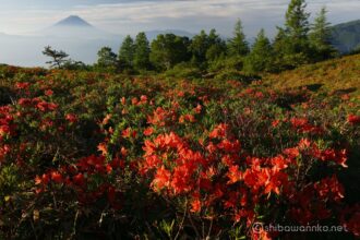 EOS5DsR+EF24-70mmF2.8LⅡUSM 35mm f16 1/20sec ISO100 PLフィルター