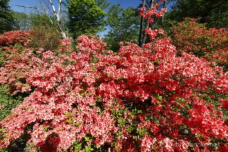 EOS5DsR+EF16-35mmF4L IS USM 16mm f16 1/20sec ISO100 PLフィルター