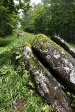 EOS5DsR+EF24-70mmF2.8LⅡUSM 27mm f16 1/8sec ISO100 PLフィルター