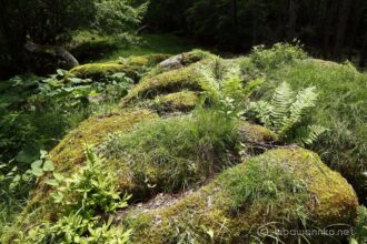 EOS5DsR+EF24-70mmF2.8LⅡUSM 24mm f16 1/15sec ISO100 PLフィルター
