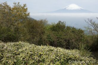 EOS5DsR+EF24-70mmF2.8LⅡUSM 35mm f16 1/50sec ISO100 PLフィルター