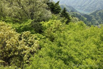EOS5DsR+EF24-70mmF2.8LⅡUSM 35mm f16 1/15sec ISO100 PLフィルター