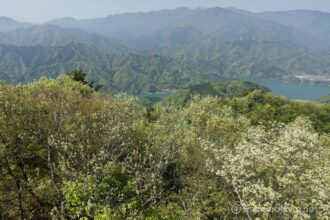 EOS5DsR+EF24-70mmF2.8LⅡUSM 24mm f16 1/30sec ISO100 PLフィルター