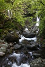 EOS5DsR+EF24-70mmF2.8LⅡUSM 28mm f11 2.5sec ISO100 PLフィルター