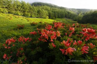 EOS5DsR+EF16-35mmF4L IS USM 16mm f16 1/8sec ISO100 PLフィルター